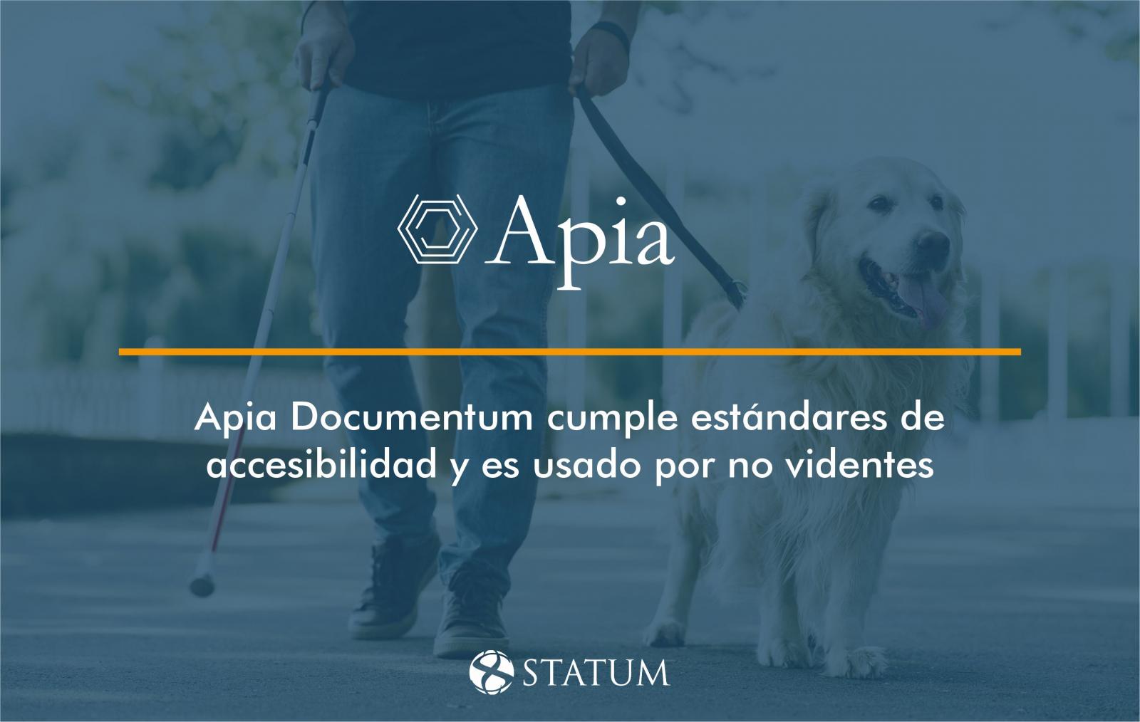 apiadocumentum-accesibilidad-no-videntes-statum